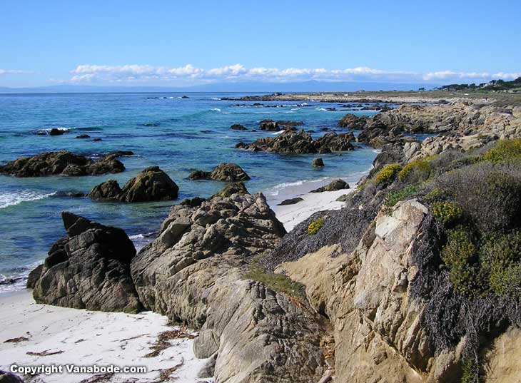 picture shows some of the coast line along the 17 mile private pay to get in section of California near  Carmel by the Sea.