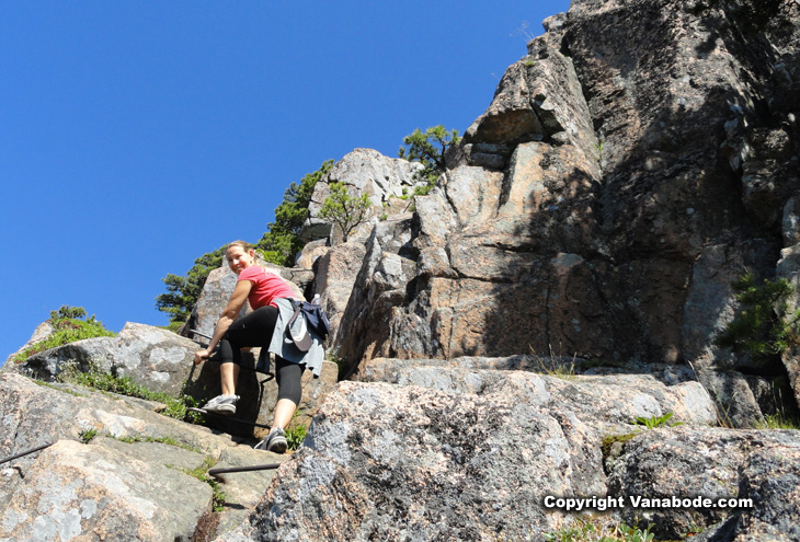 beehive trail climb acadia national park picture
