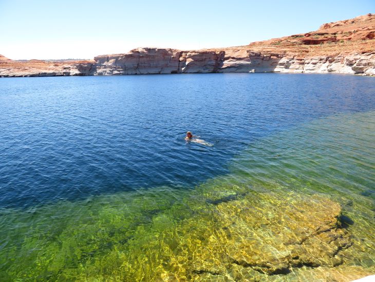 arizona lake powell swim