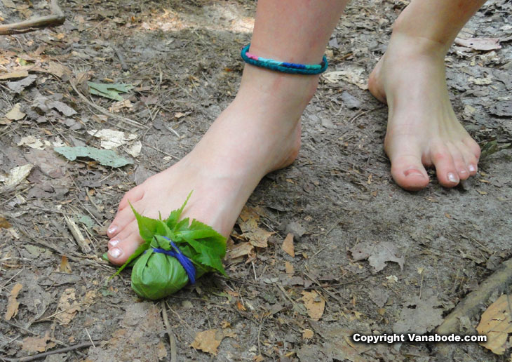 barefoot hiker makes and wears a leaf bandage over bruised bloody toe