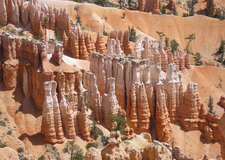 picture of hoodoos in Bryce Canyon Utah