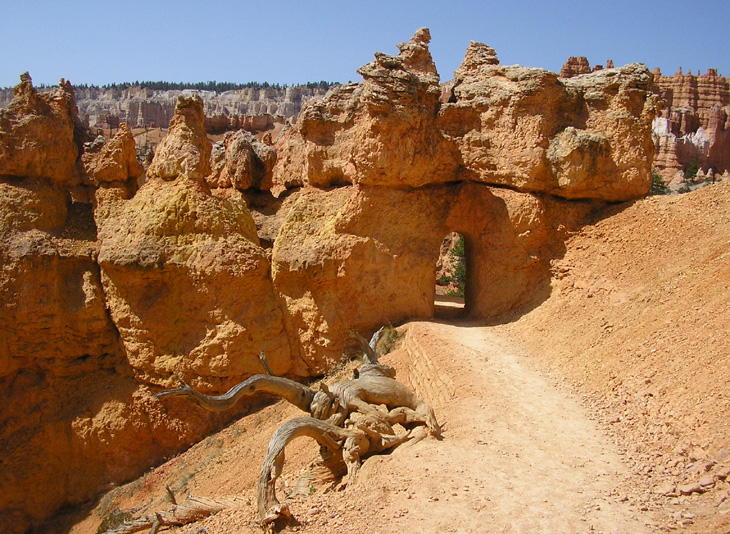 bryce canyon trail archway photo