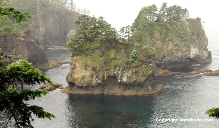 picture of first view of cape flattery washington