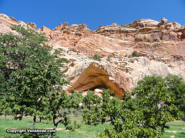 capitol reef National Park offers free fruit