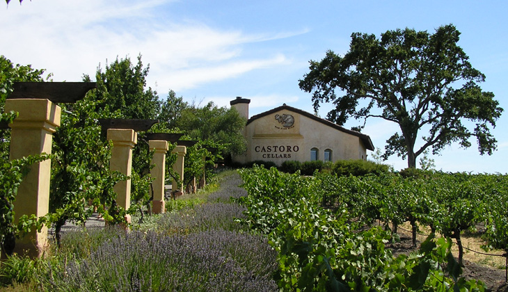 Castoro Cellars Winery Paso Robles picture