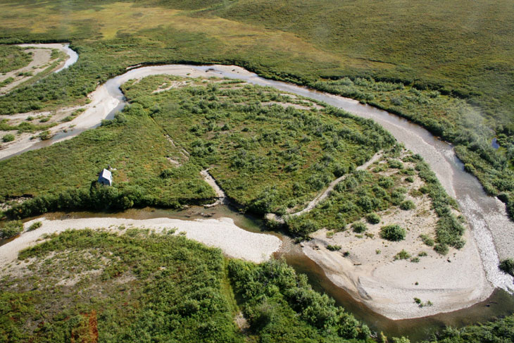 cottonwood creek bering land alaska picture