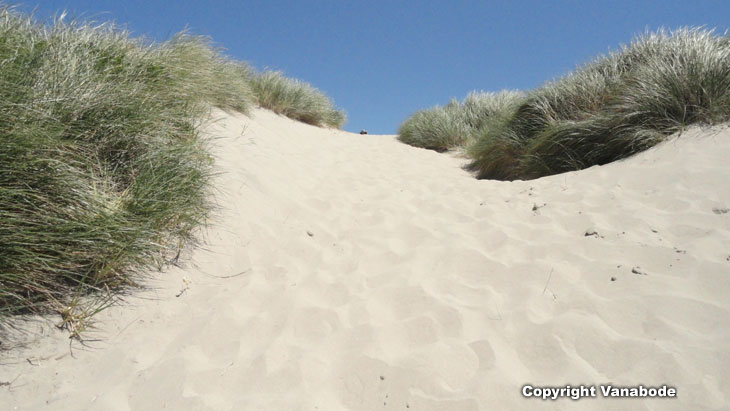 dunes recreation area oregon picture