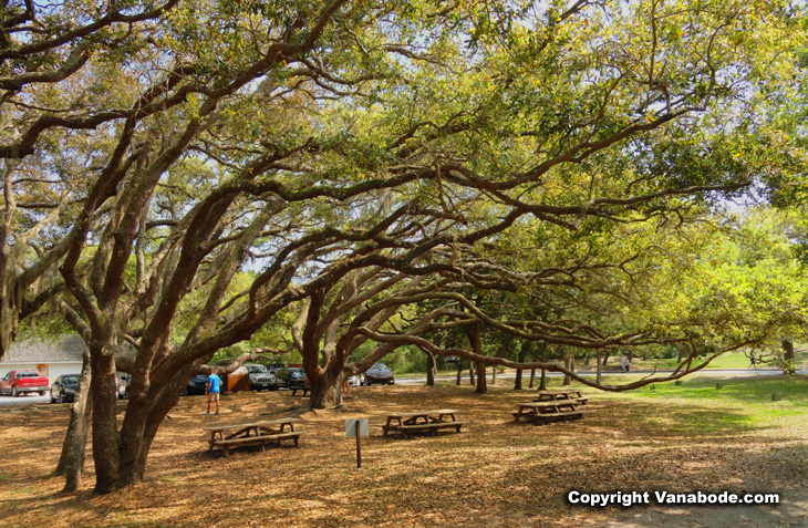 Fort Matanzas National Monument grounds and picnic area