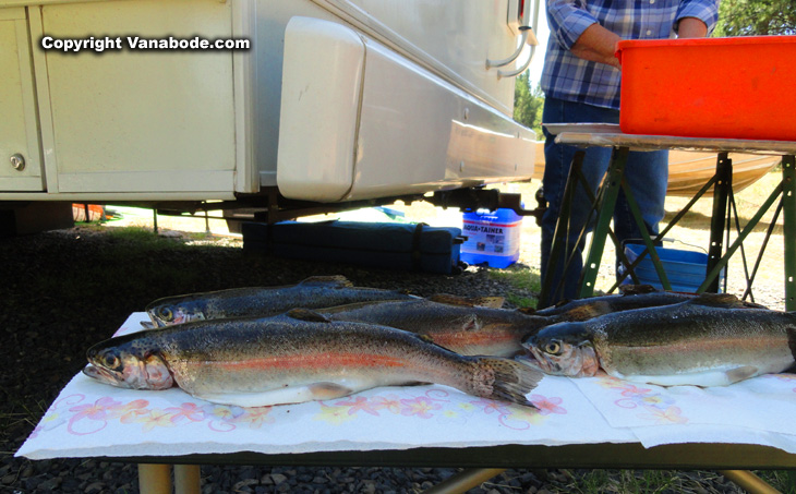 Idaho Horsethief resevoir trout for books