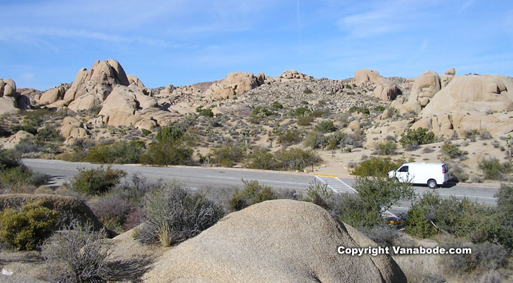 picture of joshua tree national park