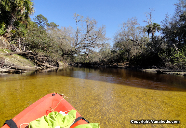 kayaking econlockhatchee river picture
