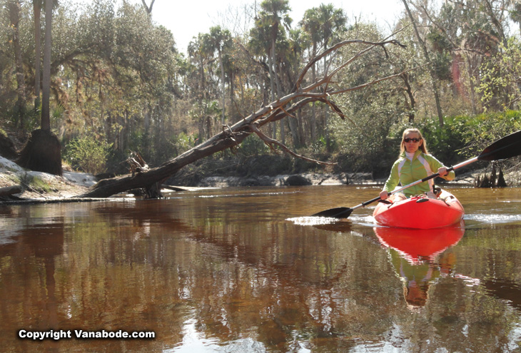 kayaking econlockhatchee in florida picture