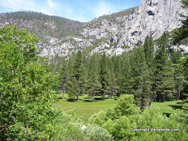 Picture of meadows at Kings Canyon National Park