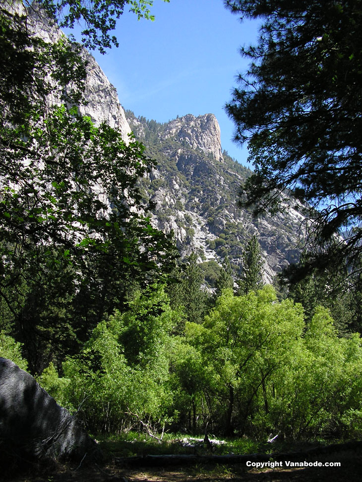 Kings Canyon National Park Picture