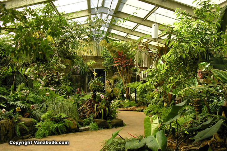 california arboretum tropical greenhouse picture