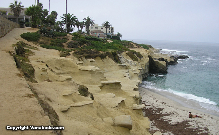 picture of beach walk along la jolla coastline in california