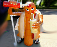 Niagara Falls Hotdog Man