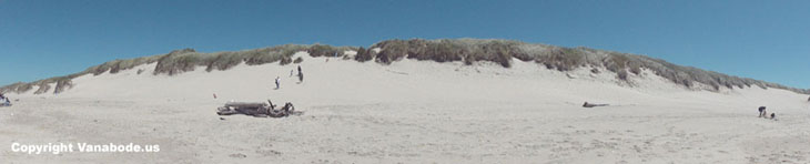 beachside dunes national rec area in florence oregon