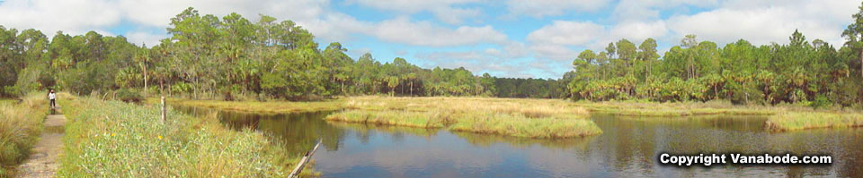 bulow creek state park in ormond beach picture