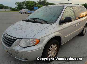 port clinton in ohio with car invaded by mayflies