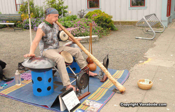 local musician in port townsend picture
