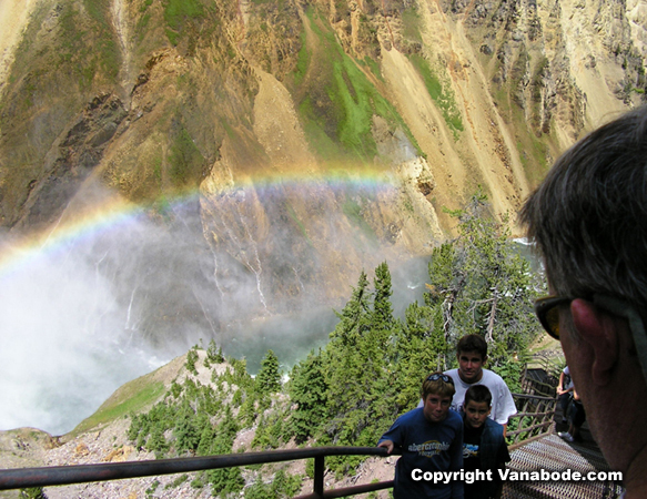 Yellowstone Falls picture