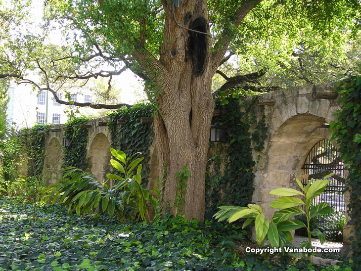 Picture taken from the garden at The Alamo in San Antonio Texas