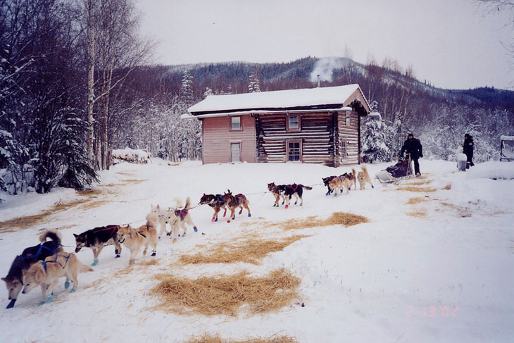 picture of sled dogs at slavens roadhouse yukon charley rivers alaska
