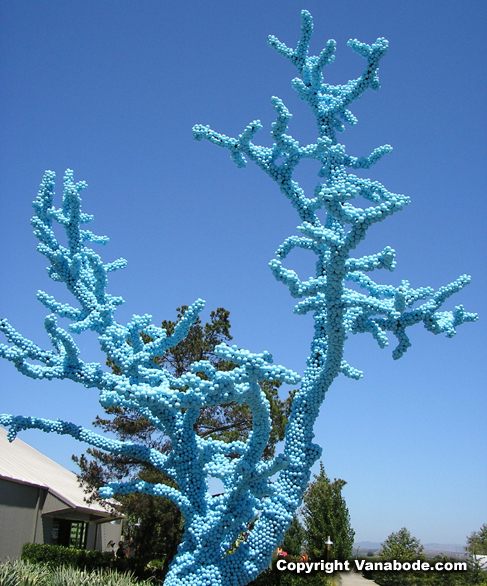 Cornerstone Place Sonoma California blue tree picture