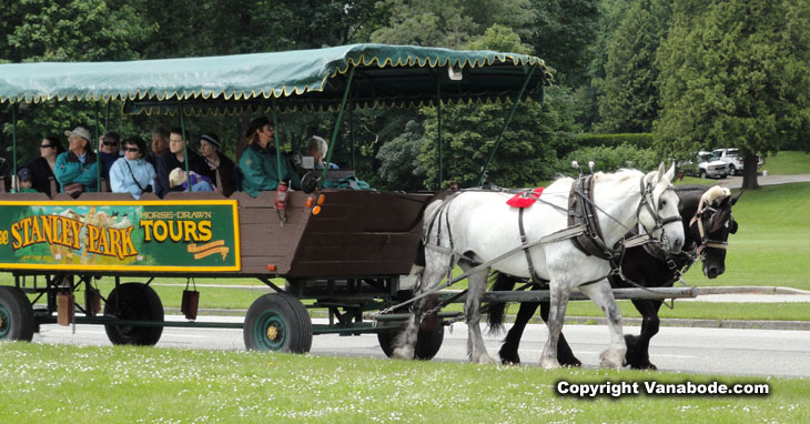 picture of carriage tour through stanley park in canada