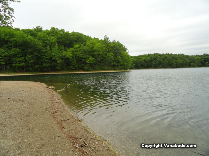 walden pond in concord in the summer