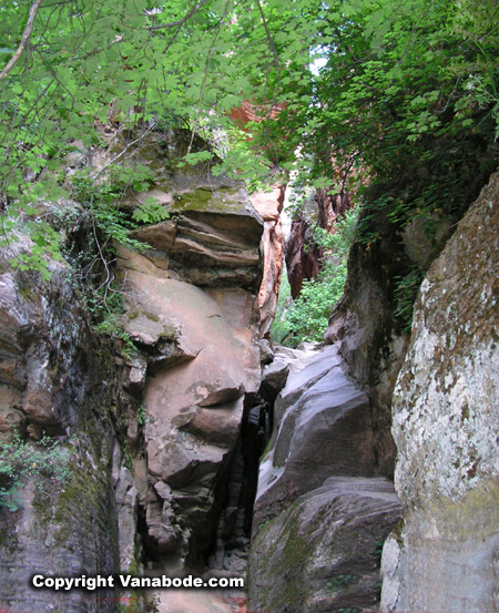 hidden canyon trail in zion picture