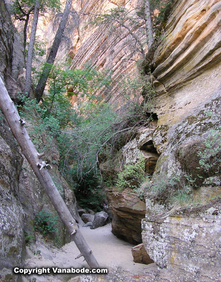 zion hidden canyon trail picture