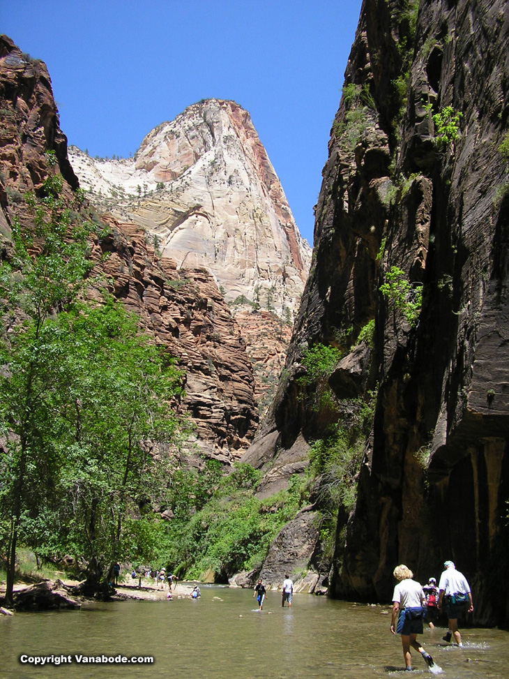 zion narrows hike image