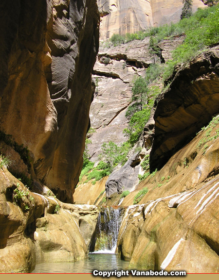 zion orderville canyon falls picture