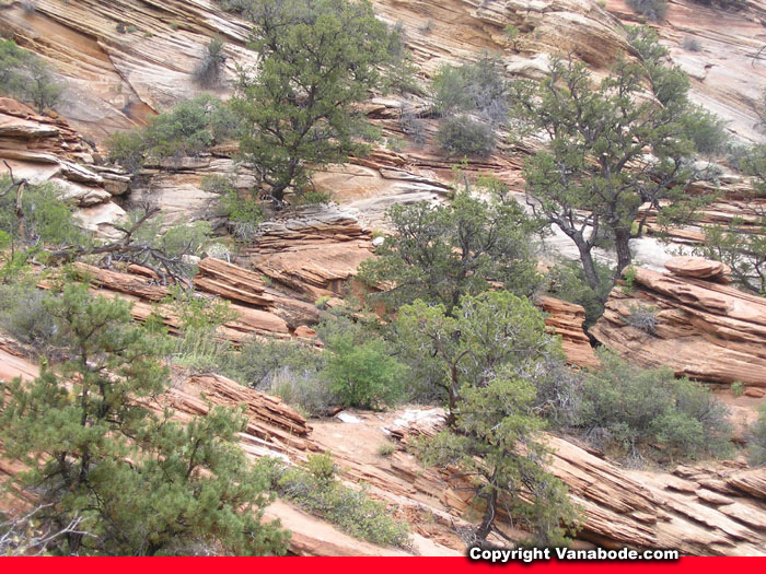 zion canyon overlook landscape picture